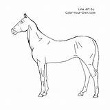 Teke Horse Akhal Standing Coloring Pages Color Line Index Own sketch template
