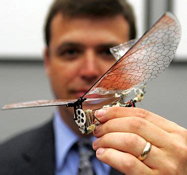 military insect drones   rediffcom news