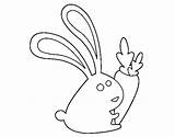 Rabbit Carrot Coloring Coloringcrew sketch template