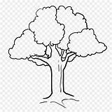Pohon Mewarnai Trees árbol Buku Imágen sketch template