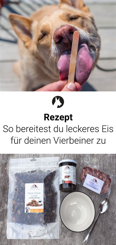 hundeeis selber machen einfaches rezept zum nachmachen
