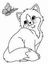 Pisici Colorat Fluture Pisică și Desene Desenat Planse sketch template