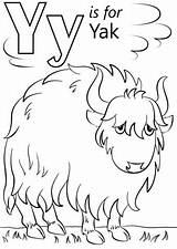 Letter Yak Preschoolers Supercoloring Colouring sketch template