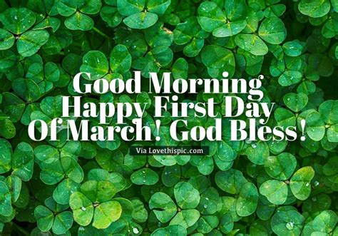green clover happy  day  march morning quote pictures