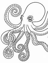 Octopus Coloring Drawing Pages Adult Kids Giant Squid Color Printable Baby Swim Simple Realistic Drawings Cartoon Outline Print Getdrawings Sketch sketch template