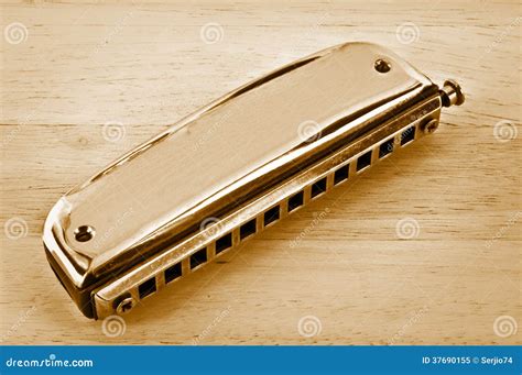 harmonica royalty  stock photo image