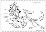 Coyote Wile Looney Colorat Tunes Roadrunner Animate Desene Struś Wilk Kanarek Ptak Rysunek Freight Multe Inapoi Planse sketch template