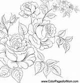 Coloring Pages Flower Wedding Adults Line Adult Flowers Choose Board Colorpagesformom Drawing Drawings Color sketch template
