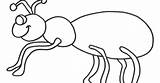 Hormiga Hormigas Fourmi Formiga Pintar Coloriage Ants Kolorowanki Fofinha للتلوين Robaki Owady نمله صوره Serangga Coloringpages101 Dla Colorier sketch template