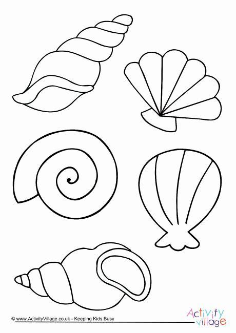 simple seashell coloring page kidsworksheetfun