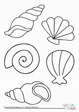 Colouring Shell Sea Shells Coloring Pages Beach Summer Printable Seaside Template Kids Seashell Colour Drawing Mar Crafts Mermaid Activityvillage Fun sketch template