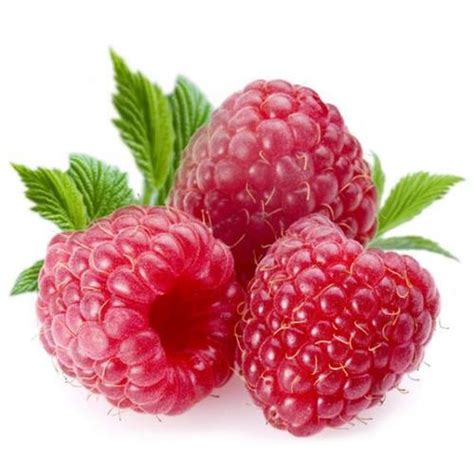 raspberry fruit price  chennai raspberry