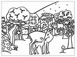 Coloring Pages Animal Kids Winter sketch template