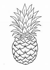 Pineapple Coloring Pages Line Fruit Template Drawings Printable Drawing Easy Pinapple Cute Sheets Fruits Print Adult Choose Board sketch template