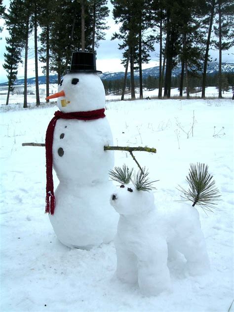 snowman snowdog snowmen photo  fanpop