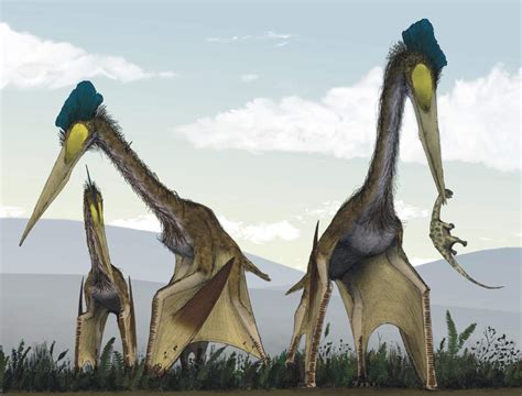 Quetzalcoatlus Wiki Jurassic Park Amino