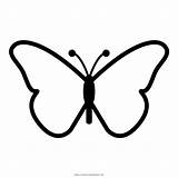 Borboleta Colorir Borboletas Desenhar Mariposa Mariposas Monarch Papillon Schmetterling sketch template