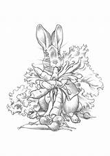 Rabbit Peter Coloring Santore Charles Benjamin Bunny Cards sketch template