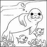Coloring Harp Seal Baby Getdrawings Pages sketch template