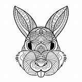 Pascua Zentangle Mandalas Rabbit Pintar Lapin Pequeocio sketch template