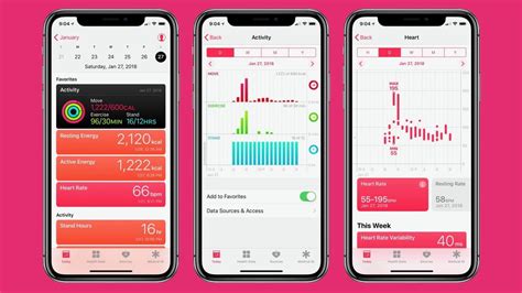 apple health guide  powerful fitness app beautydevices