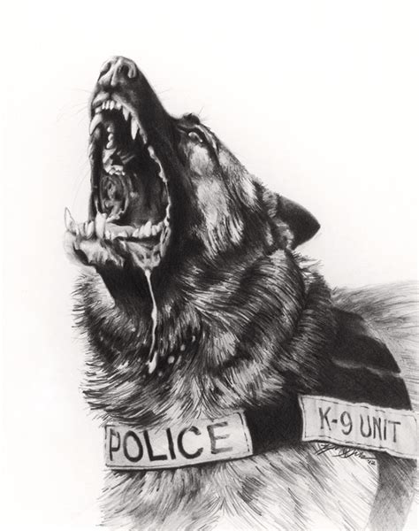police    kyle lucks war dogs police dogs military working dogs