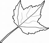 Shapes Leaf Printable Coloring Comments sketch template
