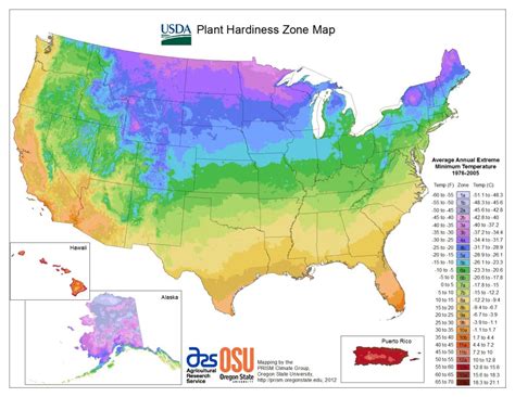 usda plant hardiness zone map shows   southeast