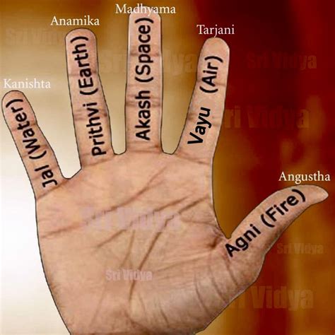 finger names  sanskrit  thumb  called angushtha