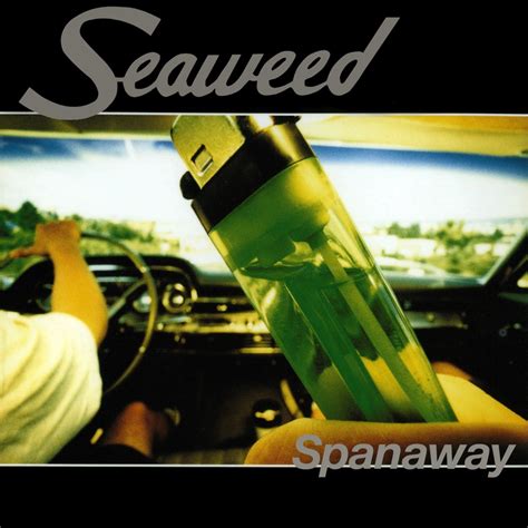 seaweed spanaway  mediasurferch