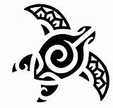 Maori Tatuaggi Tartaruga Polynesian Passionetattoo Guida Significati Meanings Henna Petpress Waktattoos Ideatattoo Honu sketch template
