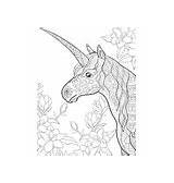 Vector Unicorn Bookpage Coloring Adult Cute sketch template