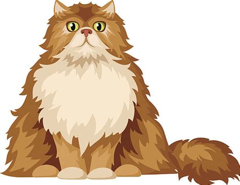 persian cat illustrations royalty free vector graphics and clip art istock