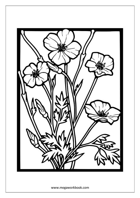 aesthetic coloring pages plants succulent coloring pages coloring