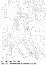 Zahlen Pferd Wald Pferde Erwachsene Ausmalen Ausmalbild Einhorn Basteln Malvorlage Farben Nummers Schroor Antje Kostenlose Zeitaufwand Lektionen sketch template
