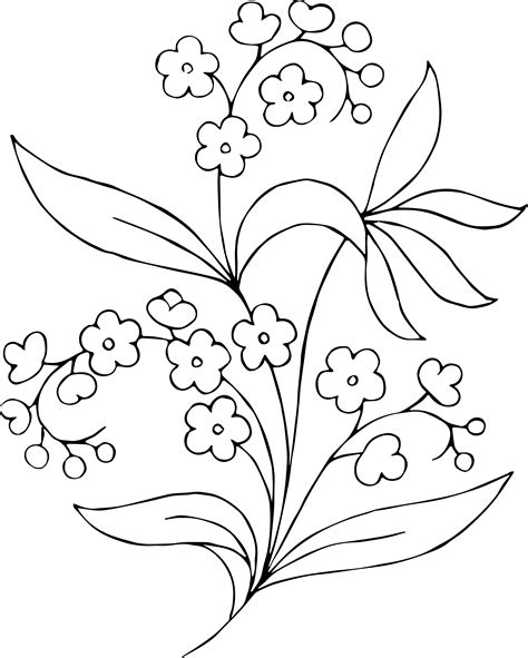 floral clipart outline floral outline transparent