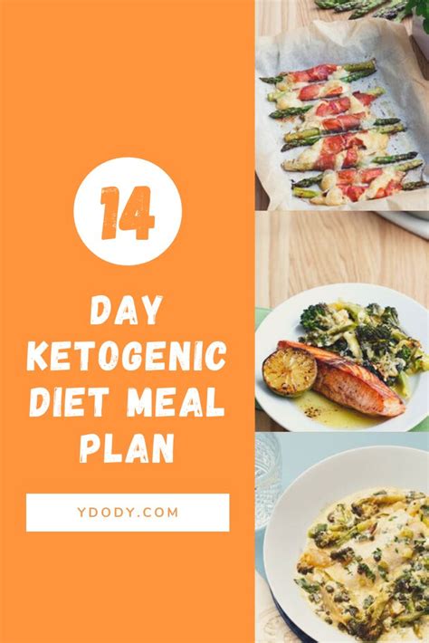 14 Day Ketogenic Diet Meal Plan Diet Meal Plans Ketogenic Diet Meal