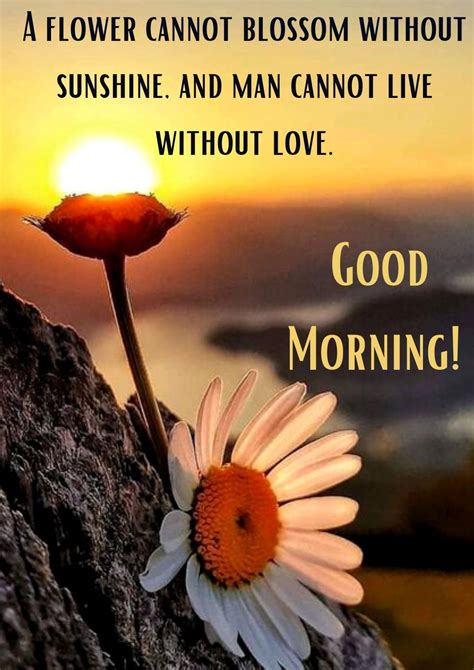 25 Beautiful Good Morning Sunshine Images With Quotes Mk Wishes