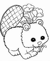 Coloring Pages Beaver Beavers Animated Animal sketch template