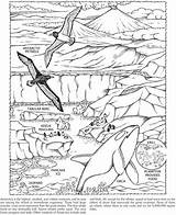 Antarctica Coloring Pages Colouring Adult Book Dover Publications Sheets Pole South Kids Doverpublications Race Search sketch template