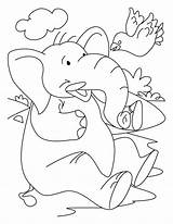 Elephant Coloring Bird Pages sketch template