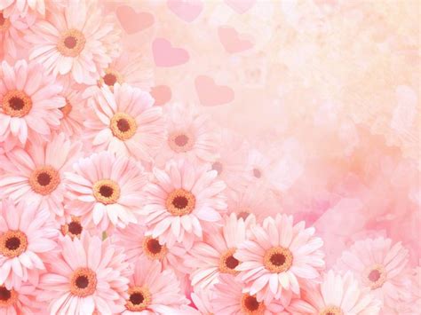 pink flowers background pink flowers wallpaper flower backgrounds