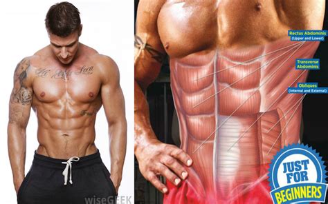 How To Get The Lower Abs V Cut No Woman Can Resist
