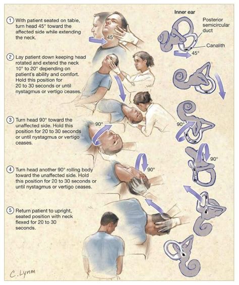 jama  twitter physical therapy physical therapy exercises