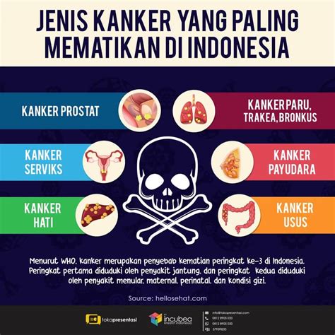 Inilah Dua Kanker Tersering Di Indonesia Aneka Informasi Dan Tips My
