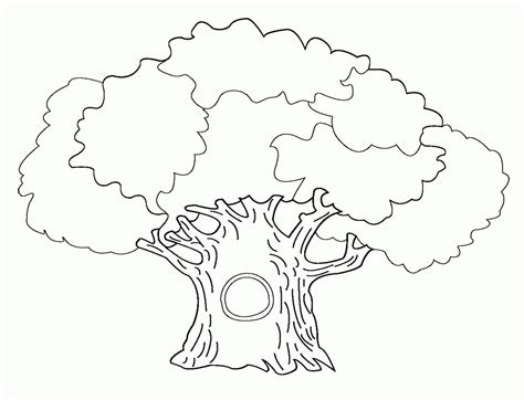 coloring page bare tree coloring home