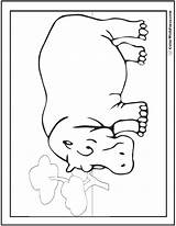 Hippo Coloring Pages Field Colorwithfuzzy sketch template