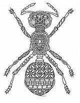 Coloring Insect Ant Zentangle Preview sketch template