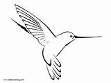 Hummingbird Drawing Easy Pages Coloirng Printable Kids Coloring Print Color sketch template