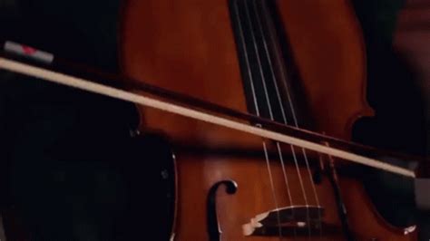 cello musical instrument gif cello musicalinstrument  discover